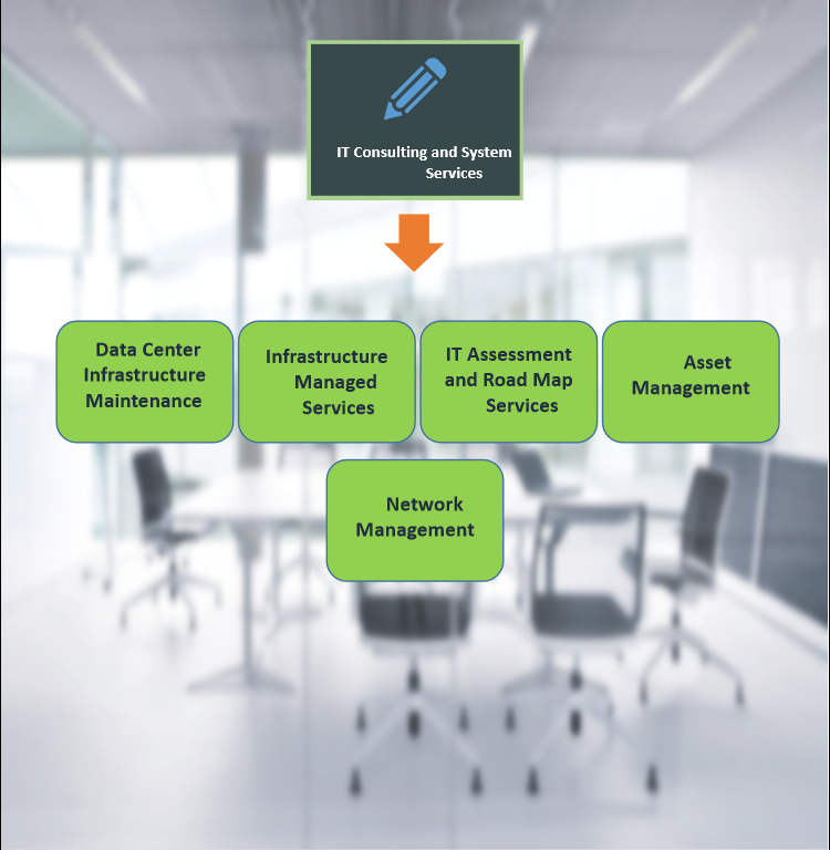 IT Consulting and System Services